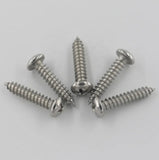 Customized 12mm-40mm Pan Head Phillips Drive Self Tapping Screw