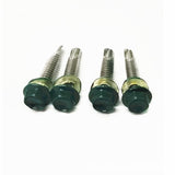 Stainless Steel 410 Hexagonal Walsi Green Paint Self-Drilling Screws