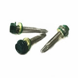 Stainless Steel 410 Hexagonal Walsi Green Paint Self-Drilling Screws