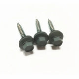 Color Head Painted Hexagonal Drill Tail Self-Tapping Screw