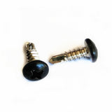 Stainless Steel 410 Colored Painted Truss Head Self-Drilling Screws