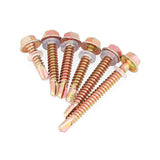 Hexagon Color Steel Tile Dovetail Wire Self-Drilling Screw